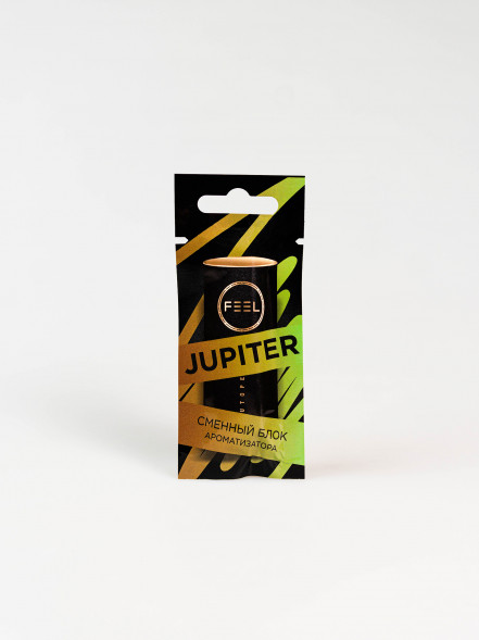 Освежитель воздуха &quot;FEEL&quot; sticks (сменный блок) JUPITER